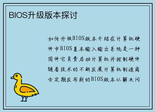 BIOS升级版本探讨